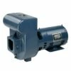 Pentair Sta-Rite D Series Cast Iron Pump 230V, 3 HP -Pool Care Sales Shop 4096 a sq