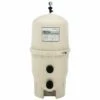 Pentair FNS Plus Fiberglass DE Filter Tank, 36 Sq Ft 1 Pentair FNS Plus Fiberglass DE Filter Tank, 36 Sq Ft -Pool Care Sales Shop 6441 a sq