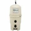 Pentair FNS Plus Fiberglass DE Filter Tank, 48 Sq Ft -Pool Care Sales Shop 6442 a sq