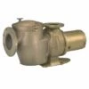 Pentair Commercial Bronze C-Series Single Phase Pump With Hair And Lint Pot, 230V, 5 HP