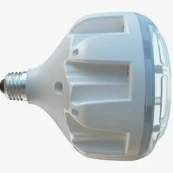 PAL Evenglow Cool White Sonar Retro Bulb (120V) -Pool Care Sales Shop 78431b feb2023