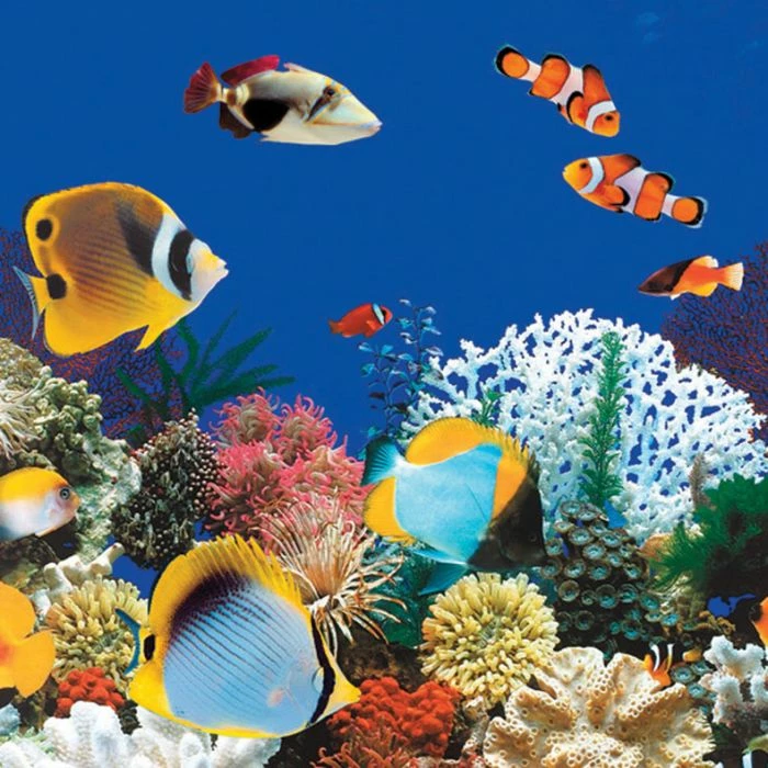 Swimline J-Hook Unibead Pool Liner, 48 In Wall, 18 Ft Round, 20 Gauge, Caribbean 4 Swimline J-Hook Unibead Pool Liner, 48 In Wall, 18 Ft Round, 20 Gauge, Caribbean - Image 2