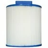Pleatco PAS50-XF2M Filter Cartridge -Pool Care Sales Shop pas50 xf2m front raw