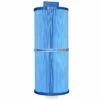 Pleatco PCAL60-F2M-M Antimicrobial Filter -Pool Care Sales Shop pcal60 f2m m front raw