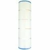 Pleatco PPCO100Q2 Filter Cartridge, 2 Pack -Pool Care Sales Shop ppco100 front raw
