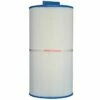 Pleatco PSD95-XF2L Filter Cartridge -Pool Care Sales Shop psd95 xf2l front raw