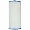 Pleatco PTL50W-XP4 Filter Cartridge -Pool Care Sales Shop ptl50w xp4 front raw