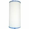 Pleatco PVT50P4 Filter Cartridge -Pool Care Sales Shop pvt50p4 front raw