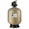 Pentair Sand Dollar SD60 Sand Filter, 22.5 In Tank And Valve Only
